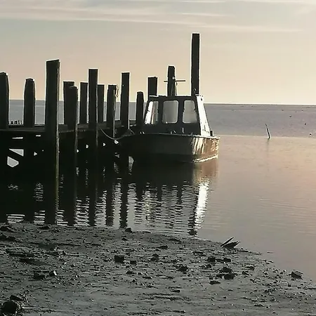 Bed & Breakfast Dock10texel 3*