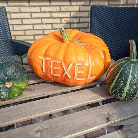 Dock10texel B&B 더콕스도르프