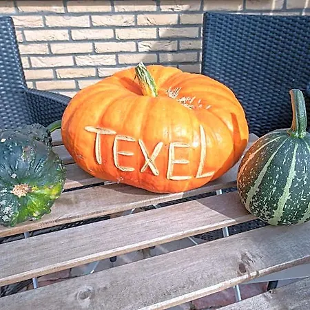 Dock10texel