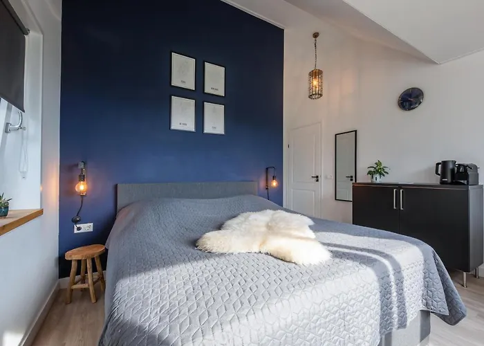 住宿加早餐酒店 Dock10texel 3*