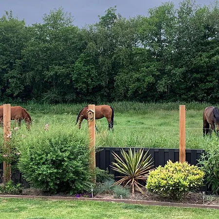Dock10texel De Cocksdorp (Texel)