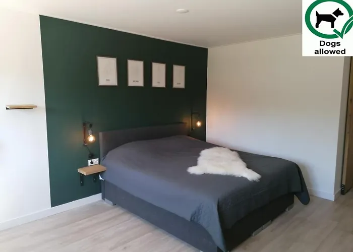 Dock10texel فندق مبيت وإفطار دي كوكْسدوربْ