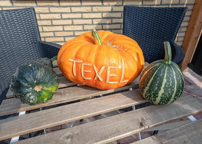 Dock10texel فندق مبيت وإفطار دي كوكْسدوربْ